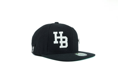 HB Light Up Black Snapback