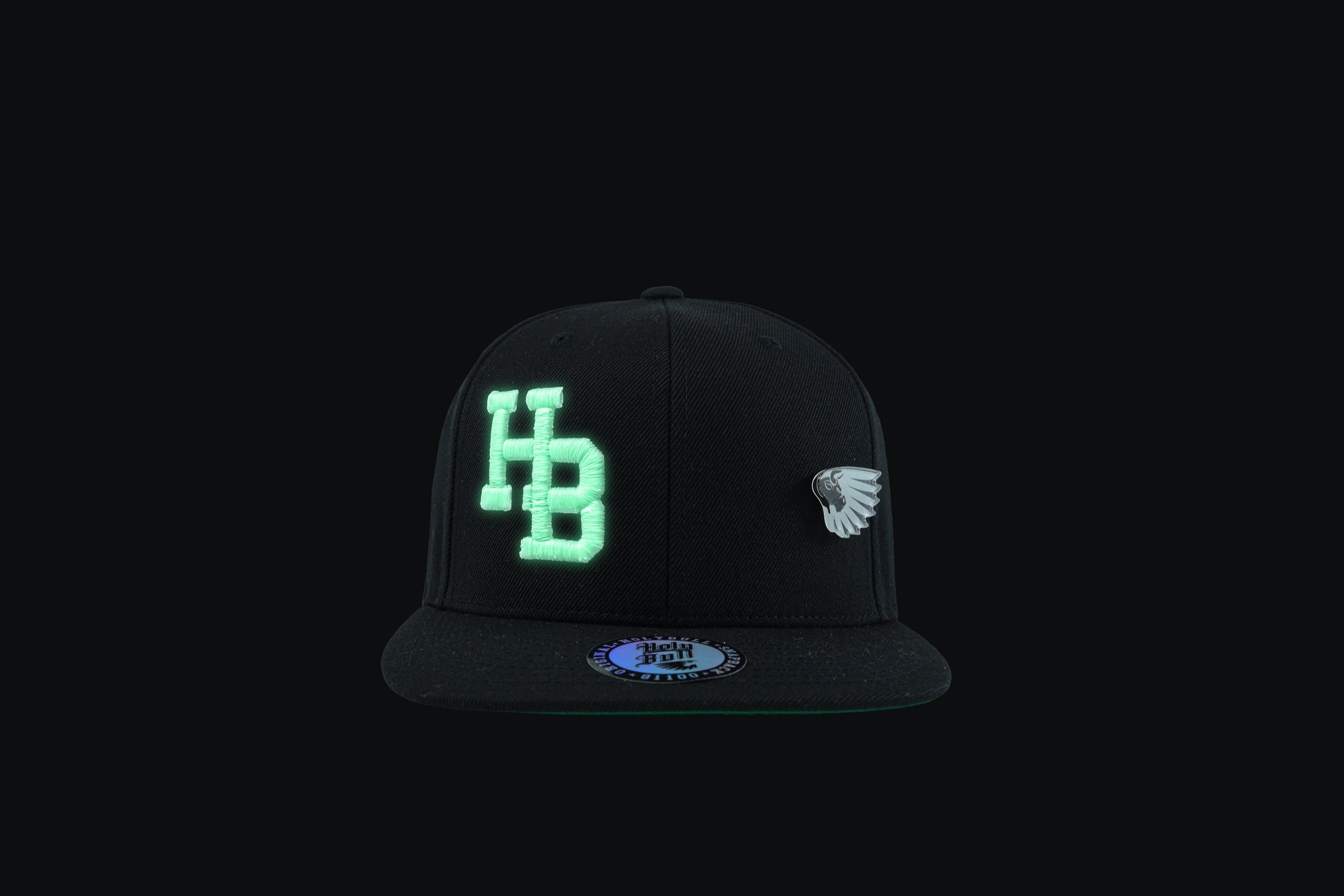 HB Light Up Black Snapback