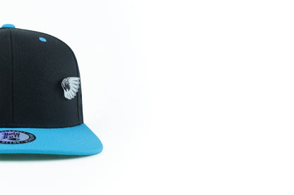 HB Light Up 2 Tone Black/Teal Snapback