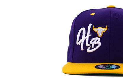 HB Cartoon 2 tone Purple/Gold Snapback